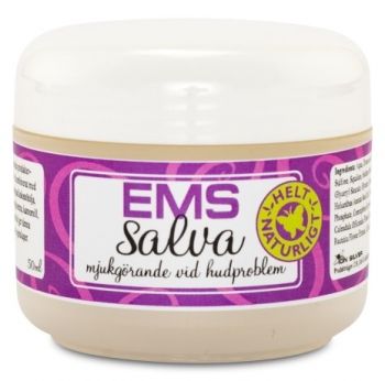 ems salva recension