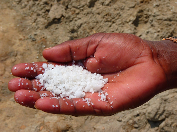 salt in hand