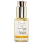 Dr Hauschka Revitalising Day Cream
