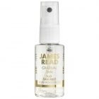 James Read H2O Tan Mist