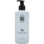 Björk AgShampoo 300 ml
