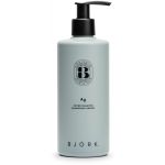 Björk AGSilver Shampoo 300 ml